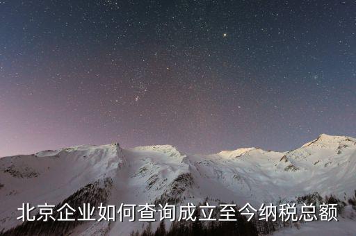 北京如何查詢公司的納稅等級(jí)，在國(guó)稅局要查一個(gè)公司的納稅情況怎么查