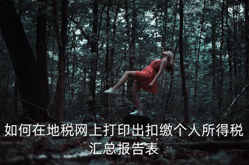 廣東個稅查詢 如何打印，怎樣在報稅系統(tǒng)打印個人所得稅申報表