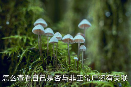 怎么查看自己是否與非正常戶還有關(guān)聯(lián)