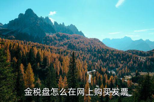 金稅盤如何網(wǎng)上購票，金稅盤領(lǐng)購發(fā)票的流程
