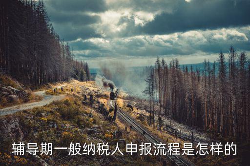 單位培訓(xùn)如何為授課人報稅，輔導(dǎo)期的報稅具體流程是怎么樣