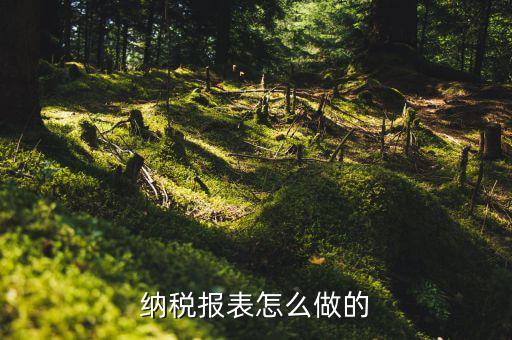 如何做數據報稅，在開普票里每月1號申報數據具體怎么弄的先點擊報稅再點