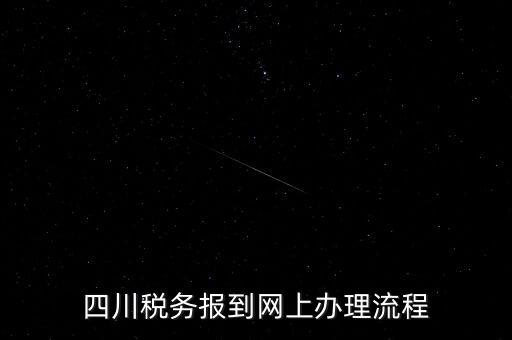 四川企業(yè)地稅如何網(wǎng)上申報系統(tǒng)，稅務(wù)申報如何網(wǎng)上申報
