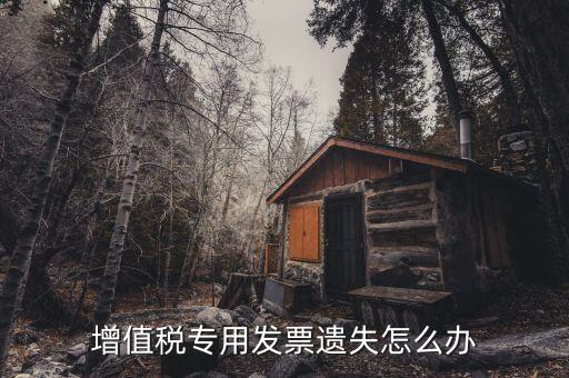 丟失專(zhuān)用發(fā)票如何，丟失空白增值稅專(zhuān)用發(fā)票如何處理
