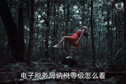 如何查詢納稅人納稅等級，電子稅務(wù)局納稅等級怎么看