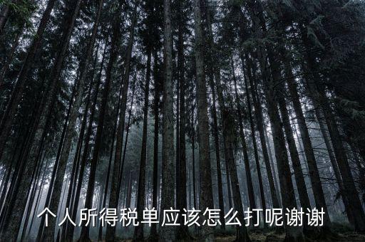 如何打印個人所得稅清單，請問如何打印個人個人所得稅繳款單據(jù)