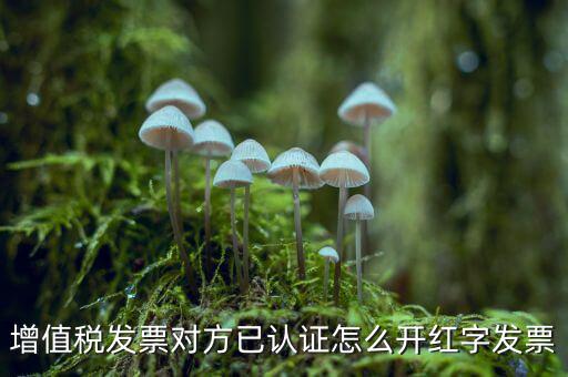 增值稅發(fā)票對(duì)方已認(rèn)證怎么開紅字發(fā)票