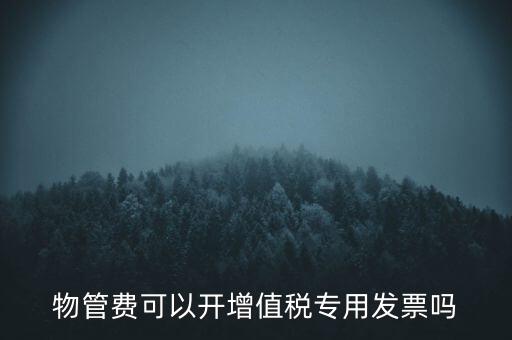 物管費(fèi)可以開增值稅專用發(fā)票嗎