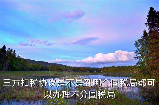 廈門(mén)國(guó)稅如何制作三方扣款協(xié)議，我是剛注冊(cè)的公司到國(guó)稅局辦理三方協(xié)議怎么辦理