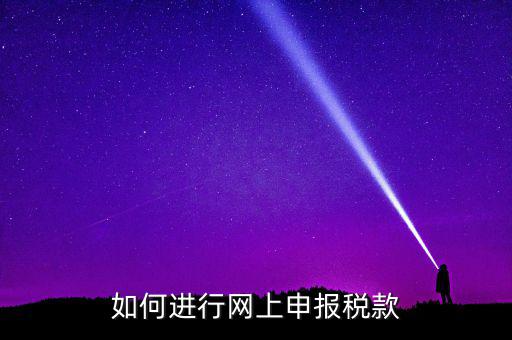 稅務(wù)如何在線申報，如何網(wǎng)上稅務(wù)申報