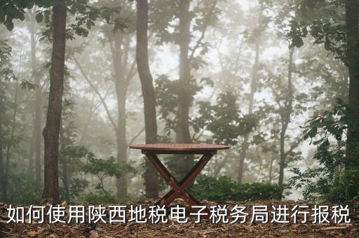 電子稅務局如何操作，如何使用陜西地稅電子稅務局進行報稅