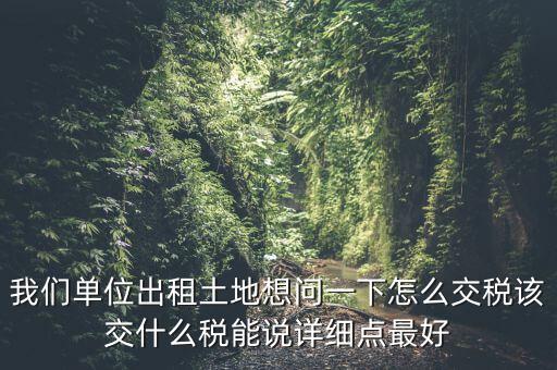 土地出租如何征稅，我們單位出租土地想問(wèn)一下怎么交稅該交什么稅能說(shuō)詳細(xì)點(diǎn)最好