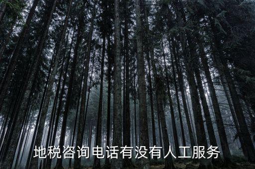 北京12366如何轉(zhuǎn)人工，我有關(guān)于北京稅務(wù)的問題因?yàn)楹軓?fù)雜你們有沒有電話可以直接溝通