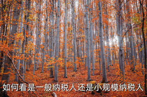 如何看是一般納稅人還是小規(guī)模納稅人