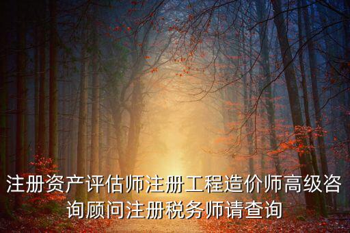 如何查詢(xún)稅務(wù)師信息，注冊(cè)稅務(wù)師報(bào)名時(shí)的信息哪里能查到