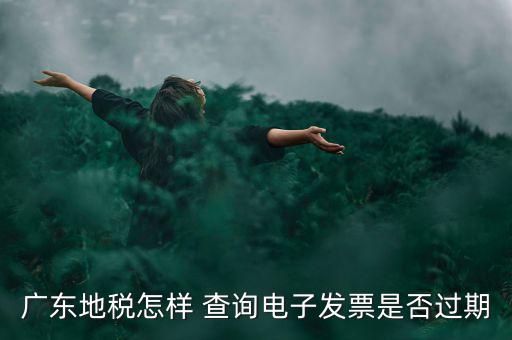 如何查詢電子發(fā)票是否有效，廣東地稅怎樣 查詢電子發(fā)票是否過期