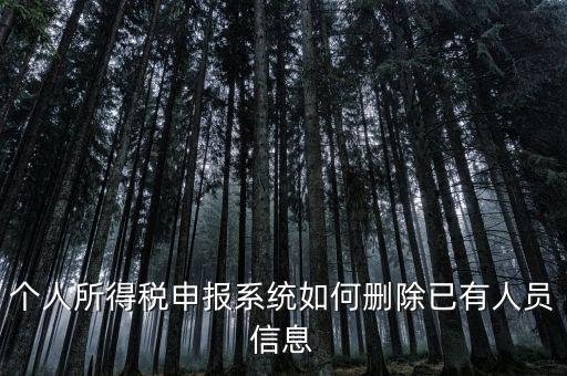 金三系統(tǒng)個稅申報人員如何刪除，如何刪掉個人所得稅人員信息