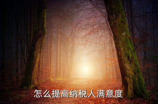 如何提升納稅人獲得感，怎么提高納稅人滿意度