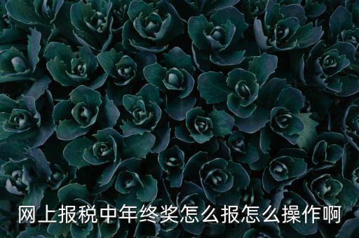 網(wǎng)上報(bào)稅中年終獎怎么報(bào)怎么操作啊