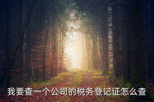 如何查企業(yè)的稅務(wù)登記證號，公司的稅務(wù)登記證號怎么查詢