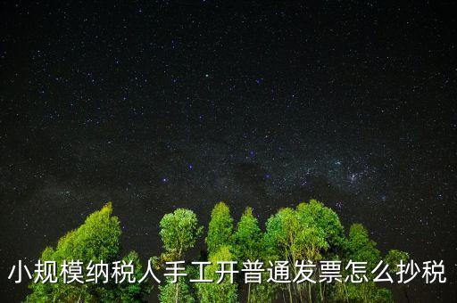 小規(guī)模納稅人開票系統(tǒng)如何抄報(bào)稅，小規(guī)模稅款控盤如何抄報(bào)稅