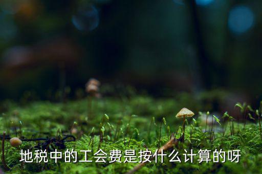 交地稅時的工會經(jīng)費(fèi)如何計算方法，地稅中的工會費(fèi)是按什么計算的呀