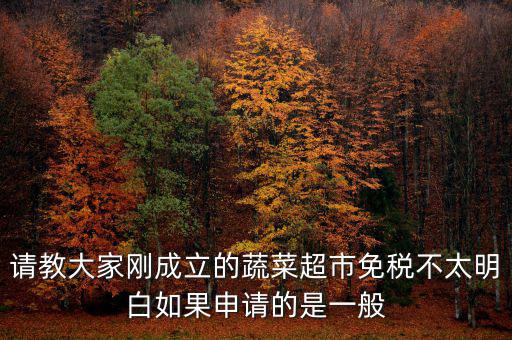蔬菜免稅如何申請，如何申請蔬菜免稅發(fā)票