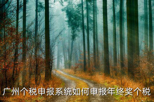 廣州個稅申報(bào)系統(tǒng)如何申報(bào)年終獎個稅