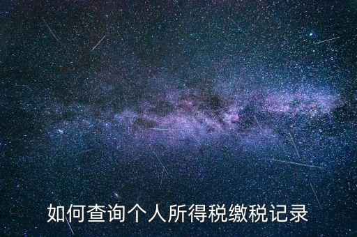 上海地稅局如何查個(gè)人所得稅繳稅記錄，上海市工資個(gè)稅繳納記錄如何查詢