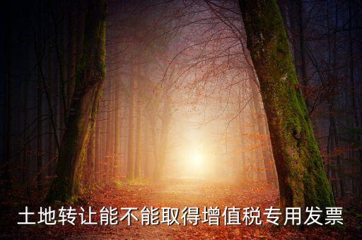 土地轉(zhuǎn)讓能不能取得增值稅專用發(fā)票