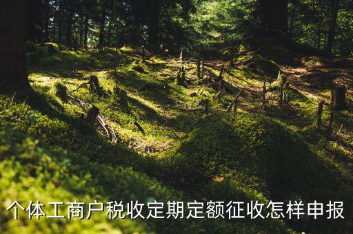個(gè)體工商戶(hù)稅收定期定額征收怎樣申報(bào)