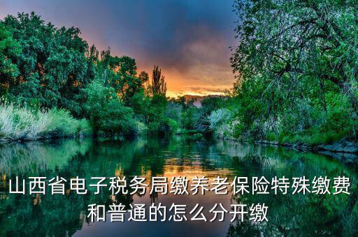 山西省電子稅務(wù)局繳養(yǎng)老保險特殊繳費(fèi)和普通的怎么分開繳