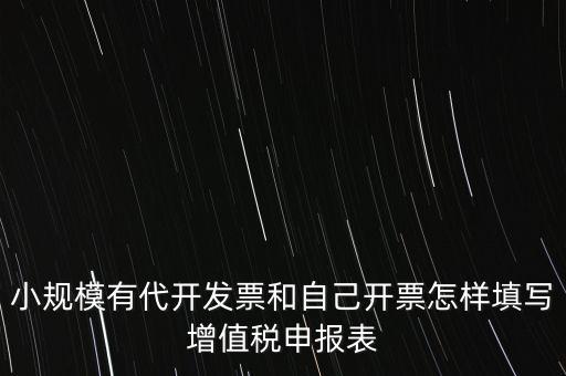 代開專票申報時如何填寫，自助開具增值稅專用發(fā)票申報單怎么填