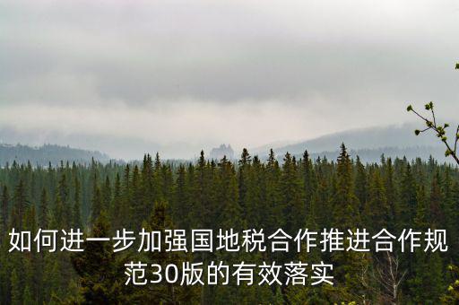 2018年國地稅合作大廳如何工作，地稅信息中心具體做些什么工作