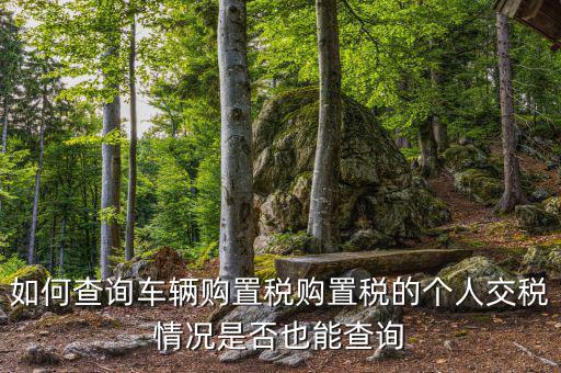 如何查汽車(chē)購(gòu)置稅，我想查查我的車(chē)輛購(gòu)置稅是多少怎么查