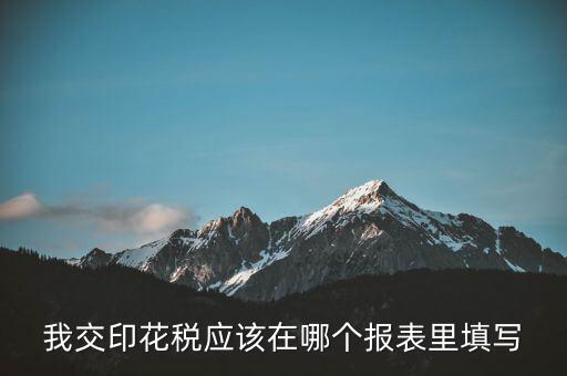 網(wǎng)上印花稅表如何填寫(xiě)，印花稅申報(bào)報(bào)表要怎么填啊