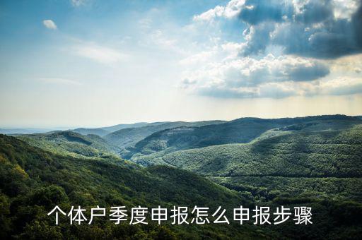 個(gè)體戶如何季度申報(bào)表，個(gè)體戶每個(gè)季度怎樣報(bào)稅