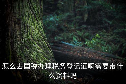 怎么去國(guó)稅辦理稅務(wù)登記證啊需要帶什么資料嗎