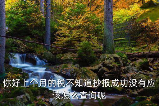 你好上個月的稅不知道抄報成功沒有應該怎么查詢呢