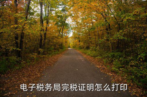 福建省網上稅務局如何打印，電子稅務局完稅證明怎么打印
