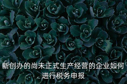 新創(chuàng)辦的尚未正式生產(chǎn)經(jīng)營的企業(yè)如何進行稅務(wù)申報