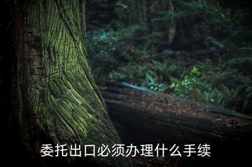 如何開具代理出口貨物證明，代理公司在當(dāng)?shù)亻_具代理出口貨物證明 請問我公司如何