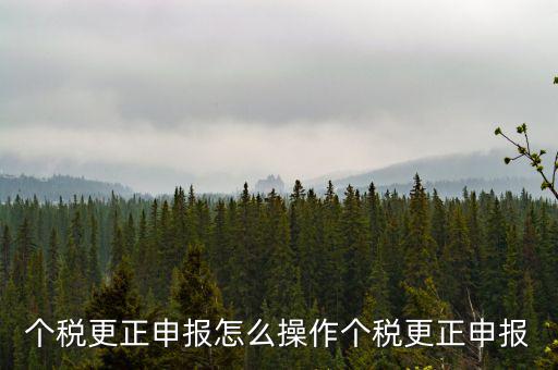 福建個(gè)人所得稅如何申報(bào)更正，個(gè)稅申報(bào)錯(cuò)了如何更正