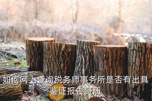 如何網(wǎng)上查詢稅務師事務所是否有出具鑒證報告資質