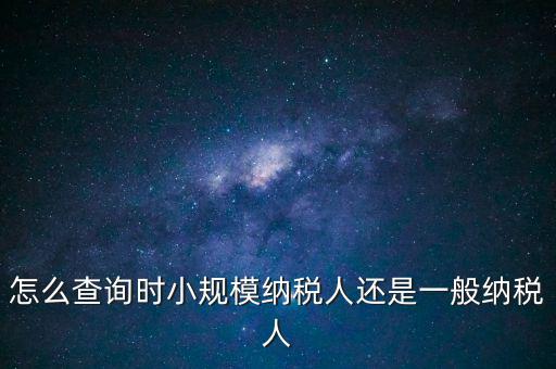 電子稅務(wù)局如何查看正常戶，怎么查詢時(shí)小規(guī)模納稅人還是一般納稅人