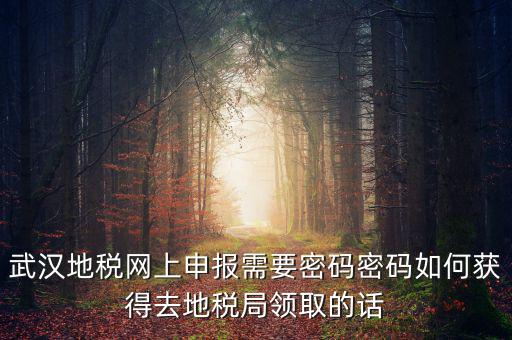 武漢地稅網(wǎng)上申報(bào)需要密碼密碼如何獲得去地稅局領(lǐng)取的話(huà)