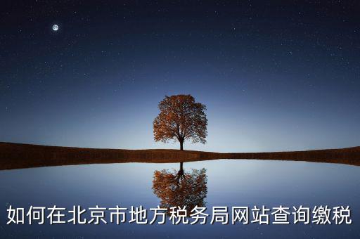 北京地稅官網(wǎng)如何注冊個人登錄，個人所得稅網(wǎng)上申報流程