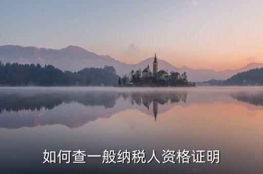 如何查一般納稅人資格，如何查一般納稅人資格證明