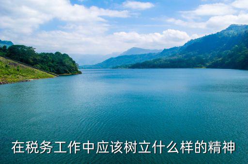 稅務(wù)干部如何踐行 安精神，在稅務(wù)工作中應(yīng)該樹立什么樣的精神