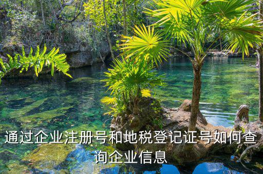 通過(guò)企業(yè)注冊(cè)號(hào)和地稅登記證號(hào)如何查詢(xún)企業(yè)信息